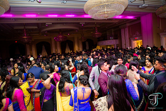 TRE_8035
